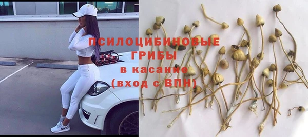 соль ск Беломорск