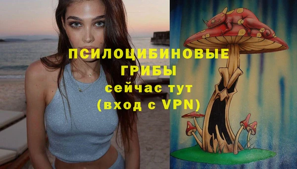 MDMA Premium VHQ Белокуриха